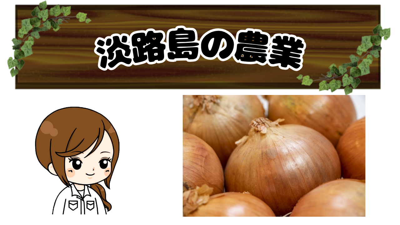 淡路島で盛んな農業形態は？タマネギ・レタス・カーネーションから学ぶ